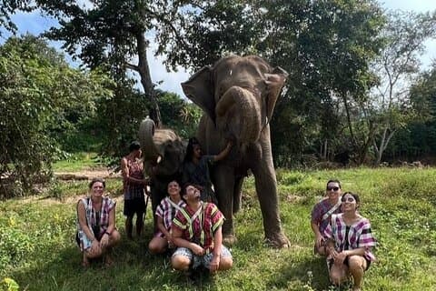 Visite du camp de soins des éléphants du parc national de Chiang Mai Doi Inthanon