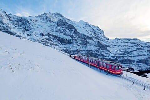 Tour Privado Matterhorn: O emblema da Suíça de Genebra