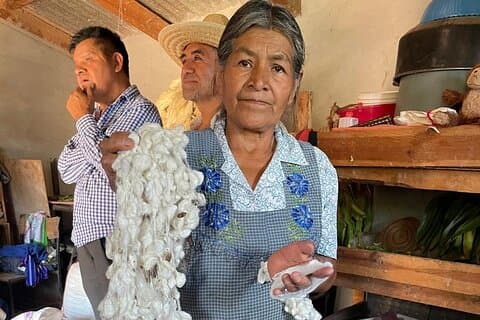 Gusano de Seda y Maguey en la Sierra Norte