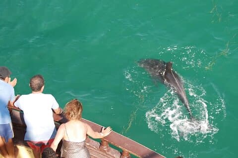 Djerba Flamingo Island Pirate Boatrip - Trip, Lunch & Pick-up