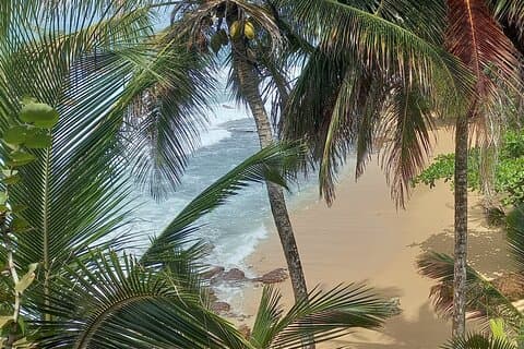 Trasferimento privato SJO Aeroporto a Puerto Viejo/Cahuita/Manzanillo
