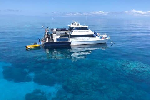 All Inclusive Great Barrier Reef Cruise w optional Scuba Diving
