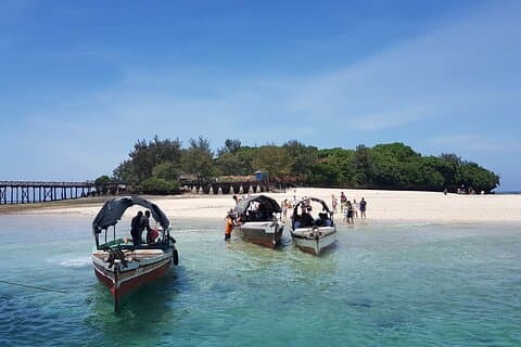Prison Island + Stone Town (Cidade Tour) e Night Market Tour