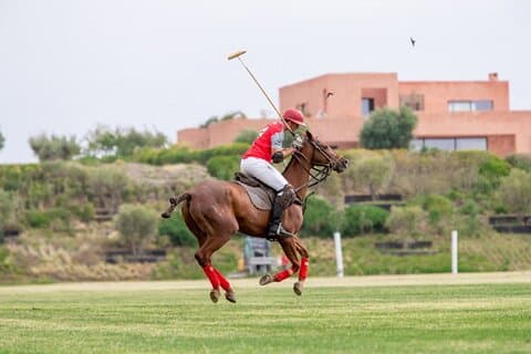 Marrakech Polo Sport - De koningen Sport