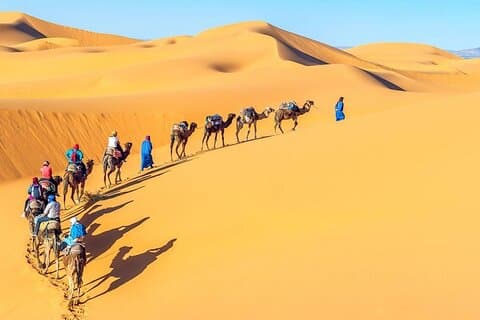 Dagstur till Giza pyramiderna, Sakkara, Memphis med lunch och kamel
