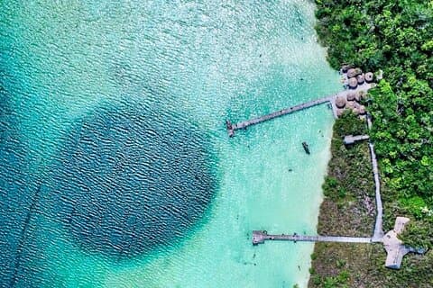 Visite privée de plongée en apnée et déjeuner au cénote du lagon de Kaan Luum