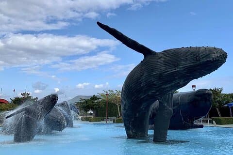 台湾の墾丁水族館入場券