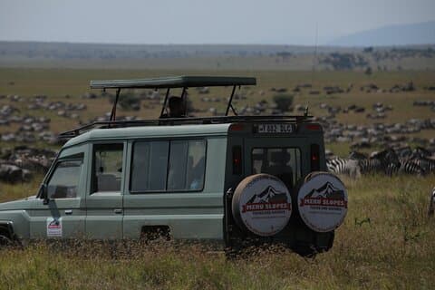 Excursão de 8 Dias em Serengeti Great Wildebeest