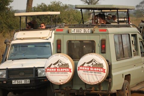 9 Tage Tansania Northern Circuit Mid Range Safari