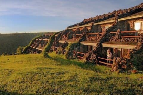 7 Days Serena Experience to Serengeti Great Migration