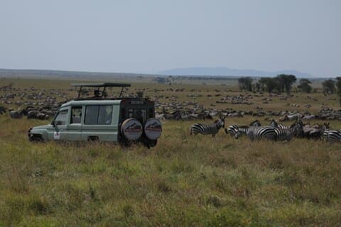 7 Days Private Serengeti Wildebeest Migration Tour