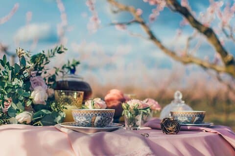 Afternoon Tea at Konopiště Castle:Taste of Aristocratic Tradition