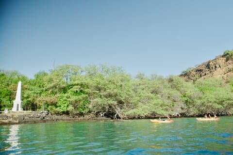 Mäander am Mittag - Kealakekua Bay Kajak- und Schnorchelabenteuer