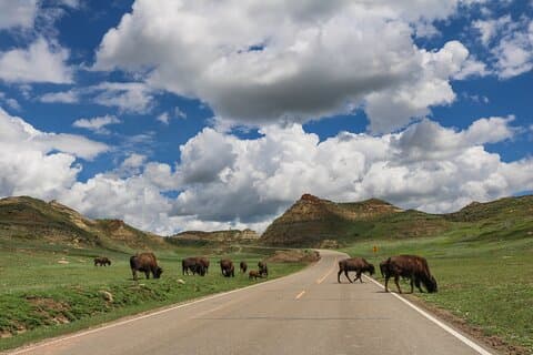 Theodore Roosevelt nasjonalpark selvguidet lydtur