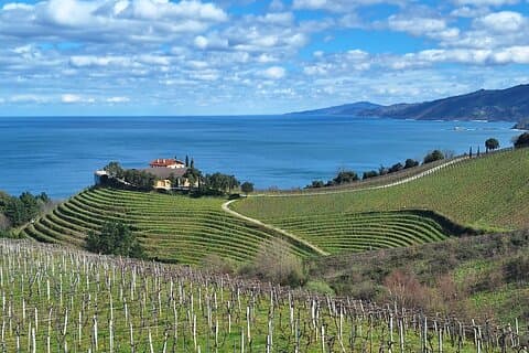 Tour di mezza giornata del vino di Txakoli e Getaria