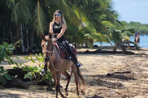 Reiten Stadtrundfahrt Schokolade Rum Probe