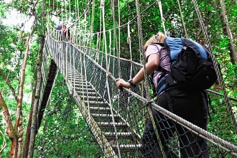 Kuala Lumpur : Parco nazionale di Taman Negara Trek & Boat Ride