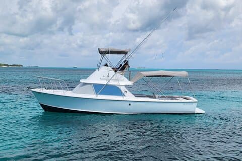 Privat snorkling eller fiskeri fra Nassau - 31ft Sitting Pretty