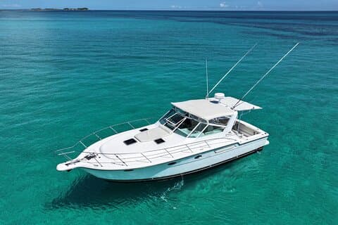 Privat snorkling eller fiskeri charter i Nassau - 38ft fri tid