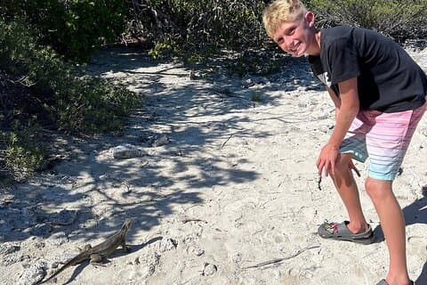 3hr Clear Kayak Tour of Mangroves, Marine Life and Iguanas