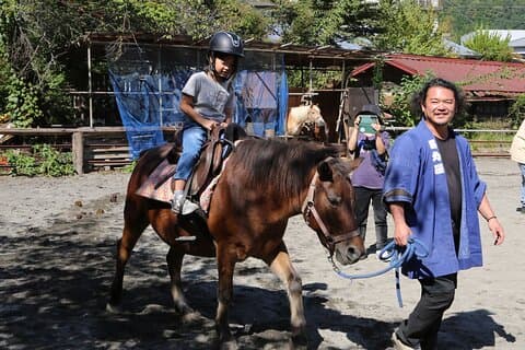 Private Horse Interaction Experience near Mt. Fuji