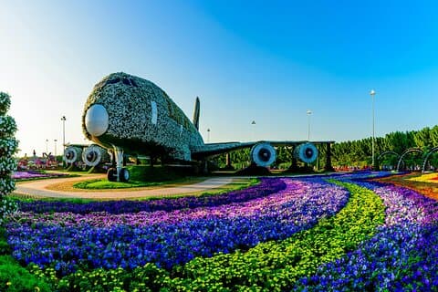 Dubai Miracle Garden Entrada Pass com Hotel Pickup e Drop-Off