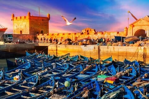 Private excursion to Essaouira