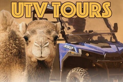 Las Vegas Guided UTV Safari and Zoo Tour