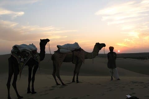 Shahi Half day non touristic sand dune camel safari with dinner