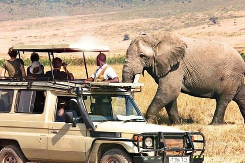 Full dag Private Ngorongoro Crater Safari starter i Arusha