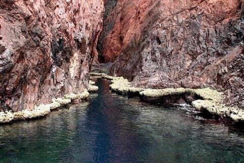 Con salida desde Porto (Fr) Scandola Girolata Capo-Rosso