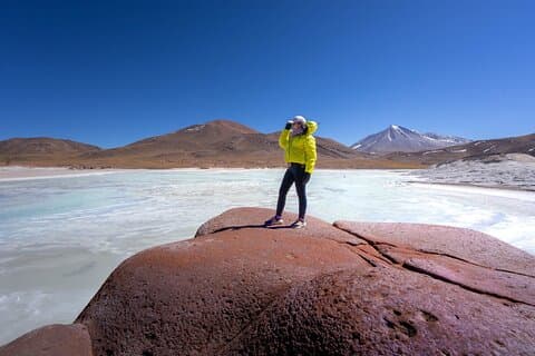 Volledige dagtour Piedras Rojas Altiplanische lagunes Chaxa-lagune