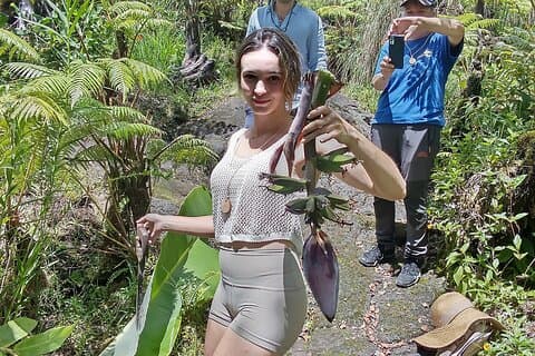 Big Island Jungle Tour with Banana Green Tea