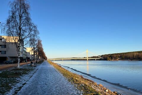 Rovaniemi tur med en lokal guide