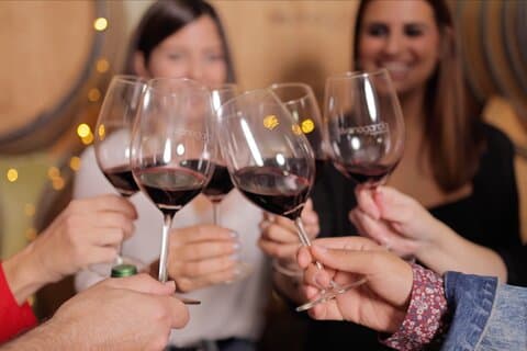Explore an urban winery and enjoy a Jumilla wine tasting