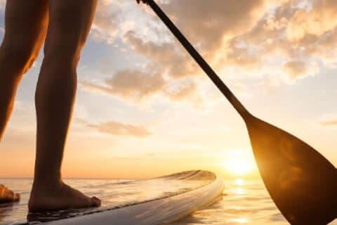 Guide Stand Up Paddleboard tur fra Elysian