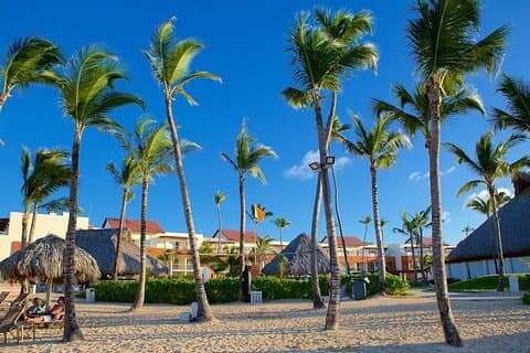 Private Transfer from Punta Cana Airport to Zona Hotels