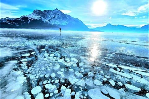 Icefields Parkway and Abraham Lake Bubbles Private Tour