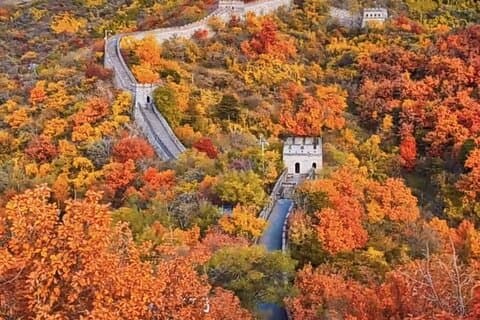 Mutianyu Grote Muur en Verboden Stad Privétour met Lunch