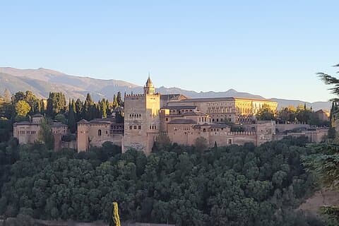 Tour guidato a La Alhambra e Granada da La Costa del Sol