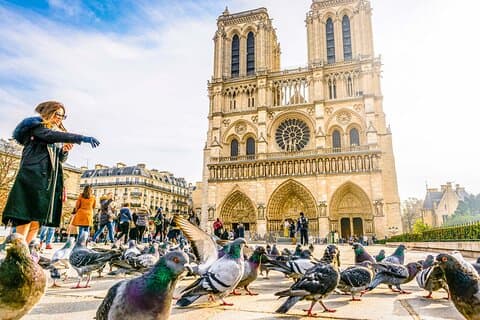 Kathedrale Notre-Dame mit Audioguide (kein Ticket)
