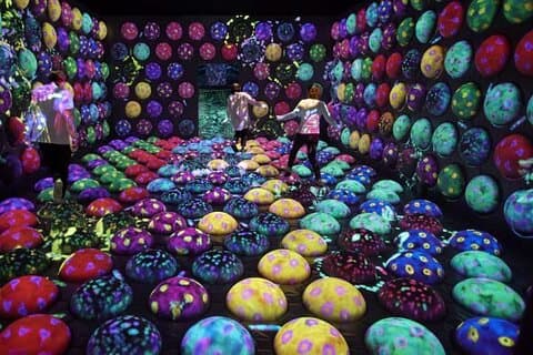 teamLab Forest Fukuoka en upplevelsebiljett för uppslukande konst