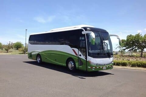 Trasferimento Privato Da Liberia Airport A Hotel Mar Rey Tamarindo
