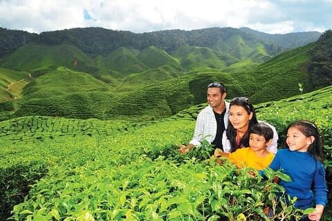 Viagem privada Cameron Highlands de Kuala Lumpur