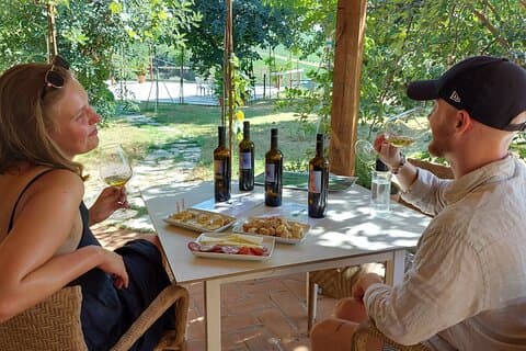 Degustazione di Vini Biodinamici con Produttore a Vinci