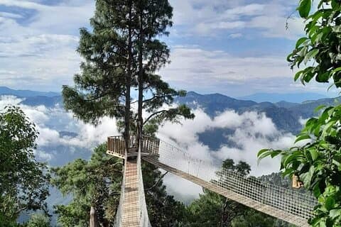 Tour San Jose del Pacifico "parmi les nuages"