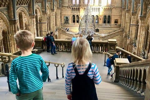Hoteller i nærheden af Natural History Museum London Private Guided Tour