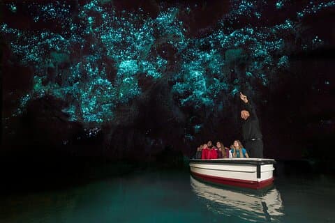 Private Auckland to Rotorua Tour via Waitomo Caves.