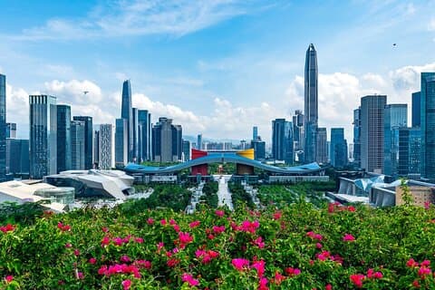 Shenzhen Skyline and Landmarks Sightseeing Tour