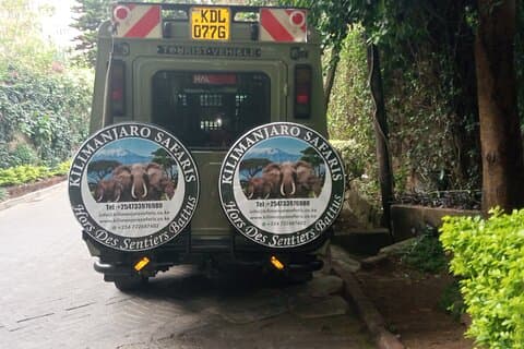 Excursión de un día al Parque Nacional Amboseli en la Base del Monte Kilimanjaro